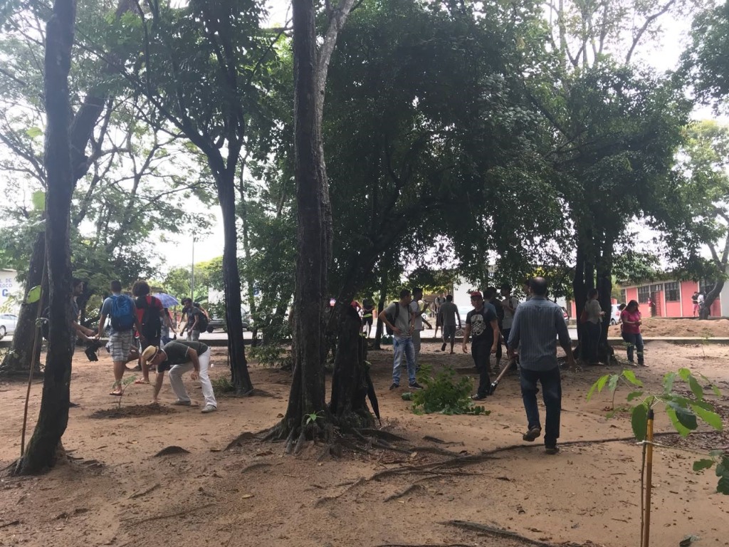 IMAGENS AREAS VERDES.jpg IMAGENS AREAS VERDES.jpg