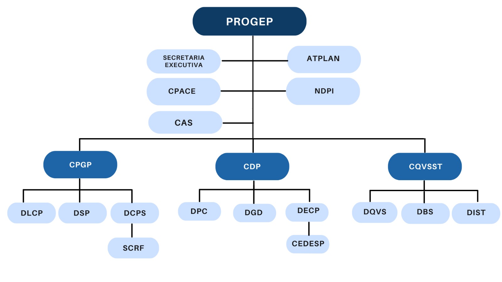 organograma 2023.jpeg organograma 2023.jpeg