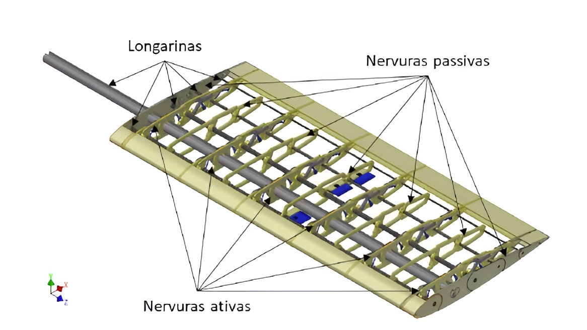 2810202514.jpg 2810202514.jpg