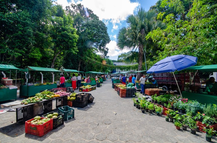 Feira Agroecológica